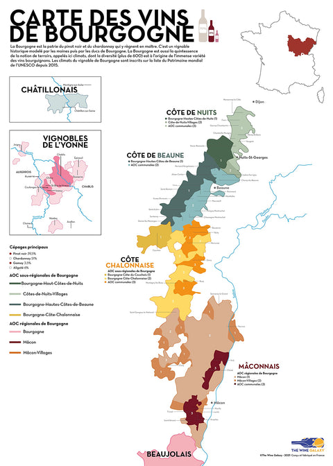 Discover the Flavours of Burgundy